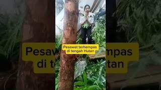 Pesawat terhempas #berita #viral #news #malaysia #alurcerita #pdrm #alurceritafilm