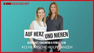 Podcast Auf Herz und Nieren – #11 Heimische Heilpflanzen