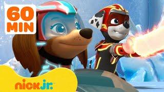 PAW Patrol Mighty Pups Use Their Super Powers w Liberty & Marshall  1 Hour Compilation  Nick Jr.