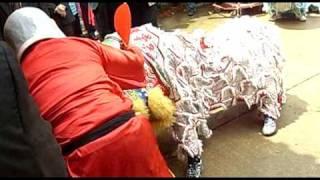 Chua Thien Hau Lion Dance Team Part 1