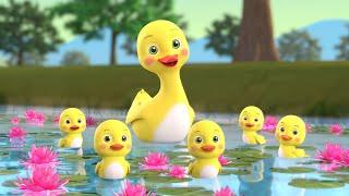 Number Song  Five Little Duckies + More Baby Songs  Beep Beep Nursery Rhymes