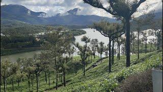 Munnar in Monsoon What I have seen heard and felt