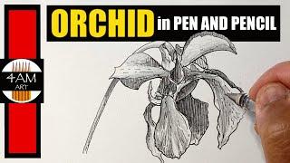 How to Draw an Orchid in Pen and Pencil