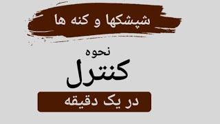 کنه ها  شپشکها  روش کنترل شته ها و کنه  روش خیلی ساده برای به دام انداختن حشرات بالدار