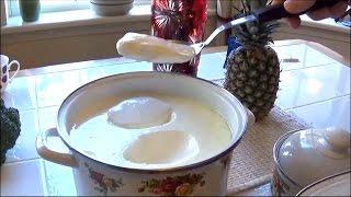 The Best Yogurt Recipe making any amount of Your Favorite Yogurt in 12 Hours  Homemade Yogurt  DIY