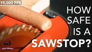 How Safe is a Sawstop Saw? - Never Before Seen 19000 FPS HD Slow-Mo Video