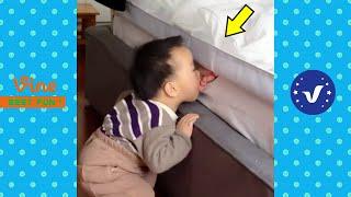 Funny & Hilarious Video Peoples Happy Life #62  Try Not To Laugh Funny Videos 2024