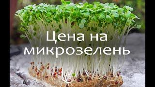 Цена на микрозелень. Что нужно учесть при формировании цены и какой она должна быть.