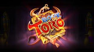 20.000€ Book of Toro  Super Bonus gekauft