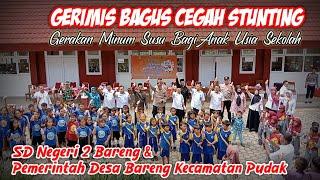 GERIMIS BAGUS _ Gerakan Minum Susu Bagi Anak Usia Sekolah Kecamatan Pudak