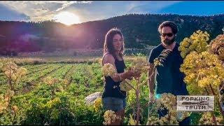 Sustainability & Farm to Table Show  BITE SIZE - Growing Medicinal  Herbs  with Biodynamics