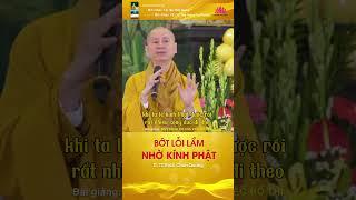 BỚT LỖI LẦM NHỜ KÍNH PHẬT - TT. TS Thích Chân Quang #thichchanquang #phapquangsenhong #shorts