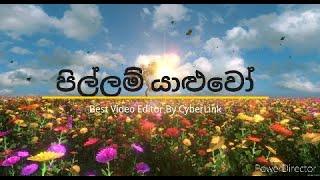 පිල්ලම් යාළුවෝ 1කොම්බුවඇලපිල්ල එක්ක......