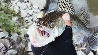 ЗЛЫЕ СУДАКИ В ТРУБЕ. Судак на джиг в черте города   Рыбалка с Fishingsib