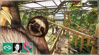 Building a Brown-throated Sloth Exhibit in Planet Zoo Franchise Mode