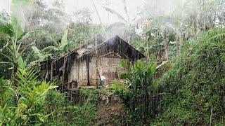 HUJAN DERAS MENGGUYUR SAAT NGELIWET BARENG PASANGAN MUDA MUDI YG TINGGAL DI RUMAH KECIL TENGAH HUTAN