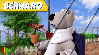 ‍️ BERNARD   Collection 27  Full Episodes  VIDEOS and CARTOONS FOR KIDS