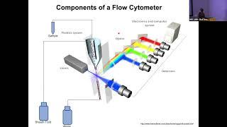 TALK 15 Introduction to Flow Cytometry - Fan Zhang