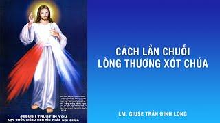 Hướng dẫn - Cách lần chuỗi Lòng Thương Xót Chúa - Lm Giuse Trần Đình Long