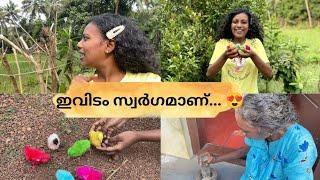 ഇതെന്റെ ഭൂമിയിലെ സ്വർഗ്ഗം️HomeIchappee The World#ichappeetheworld #ichappi #keralahome