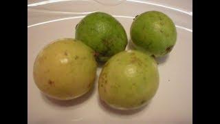 Guava 101 - How to Prepare Guava