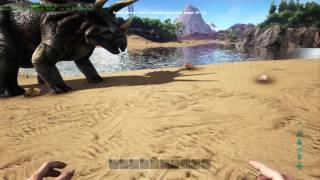 Ark Survival Evolved Dodo in duh ar