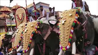തൃശൂർ പൂരം വർണാഭമായ  കുടമാറ്റം Thrissur Pooram   Kudamattam - Elephant Show