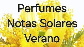  Top Perfumes con Notas Solares y directos al mar