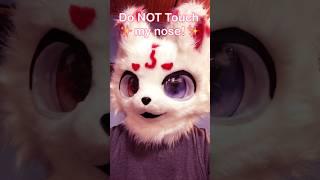 DO NOT touch my nose  #furry #fursuit #fursona #fyp #cute