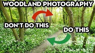 The DOs and DONTs of WOODLAND PHOTOGRAPHY