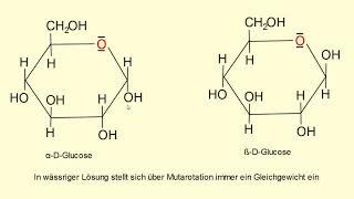 Kohlenhydrate Ringbildung