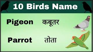 Birds name  10 Birds name  Birds name in English  Birds name in Hindi  pakshiyon ke naam