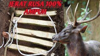 CARA MEMASANG JERAT RUSA AMPUH @aneukrimba170