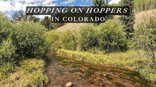 Trout were HOPPING on HOPPERS in Colorado