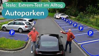 Tesla Autoparken – Hype oder Schrott? Parkassistent mit FSD Beta Feeling im Alltagstest