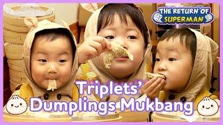 Triplets House Legendary dumplings mukbang of Triplets   KBS WORLD TV