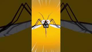 7 weird facts about #Mosquitoes Crazy Fact About #Animals #shorts