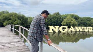 CAK JAROT feat DnY - NGAWUR OFFICIAL MUSIC VIDEO