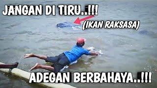 Awas.. Adegan Berbahaya‼️ Jangan Di Tiru‼️ Mancing Mania Madura‼️ Shorts Video‼️