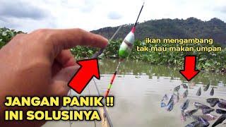 Solusi mancing ikan yang mengambang dan tidak mau makan umpan