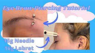 Eyebrow Piercing Using 16g Needle