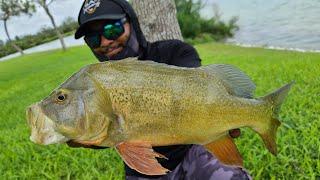 Catching Fish on a Bare Hook No Bait Fishing Challenge