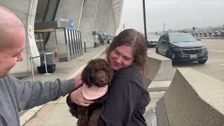 Goldendoodle puppy flies to D.C. Kona’s big day ️