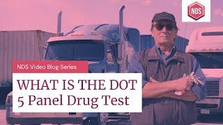 What Is The DOT 5 Panel Drug Test? Department Of Transportation Drug Testing