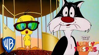 Looney Tuesdays  Did I Saw A Putty Tat?  Looney Tunes  WB Kids