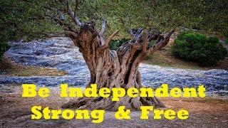 Be More Independent  - Increase Your Personal Freedom  Subliminal Isochronic Meditation