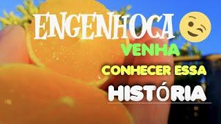 ENGENHOCA QUE DEU CERTO VENHA CONHECER ESSA HISTÓRIA FAÇA VOCÊ MESMO