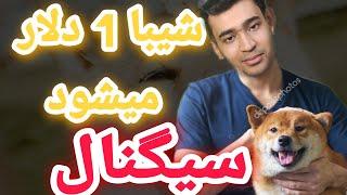 شیبا اینو ارباب میم کوین ها 1 دلار میشود  بررسی اینکه ایا شیبا قابلیت اینو داره که 1دلار بشه یا نه؟