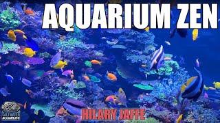 Aquarium ZEN featuring Polo Reef - Hilary Jaffe