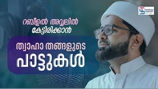 റബീഉൽ അവ്വലിൽ കേട്ടിരിക്കാൻ ത്വാഹാ തങ്ങളുടെ പാട്ടുകൾ  Hits Of Thwaha Thangal Pookkottur